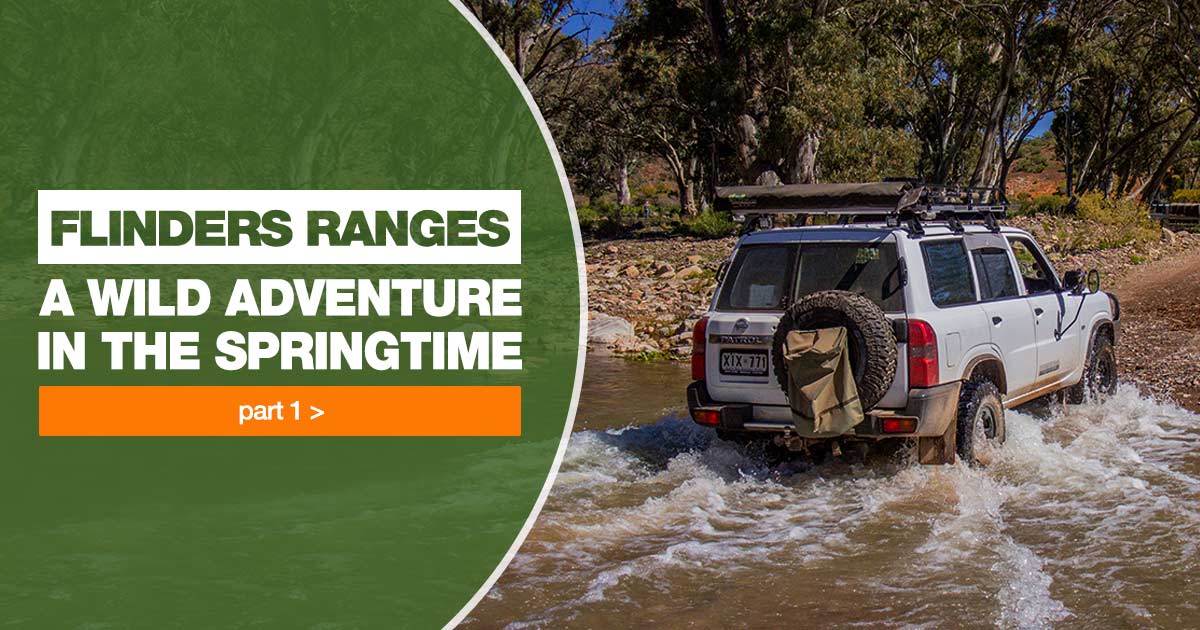 A Spring Adventure in the Flinders Ranges