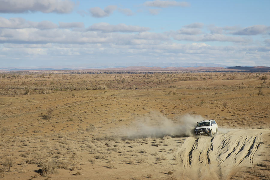 A 4WD driving in bulldust