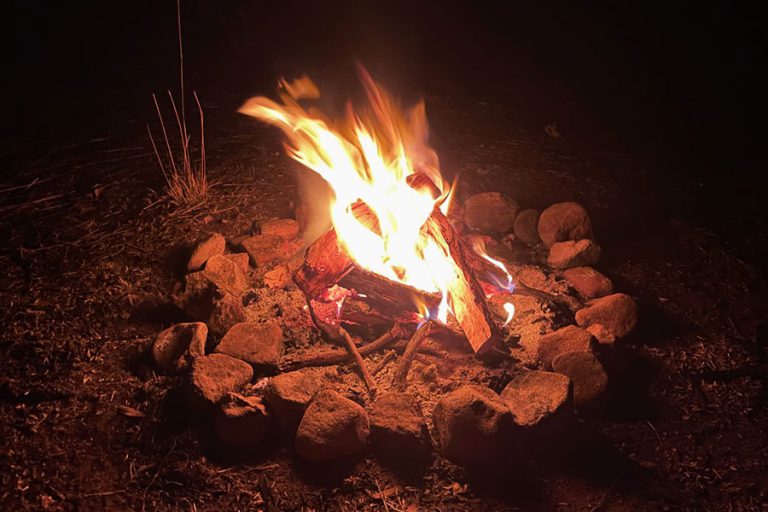 10 Ways to Repel Bugs While Camping Snowys Blog