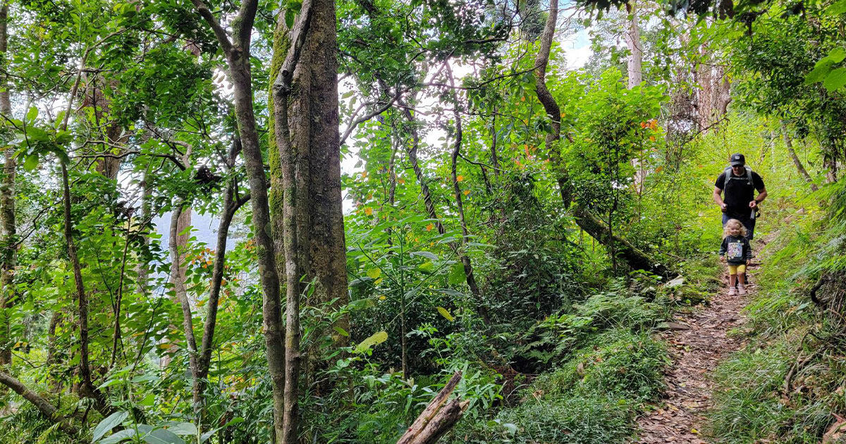 A Family-Friendly Adventure in Binna Burra | Snowys Blog