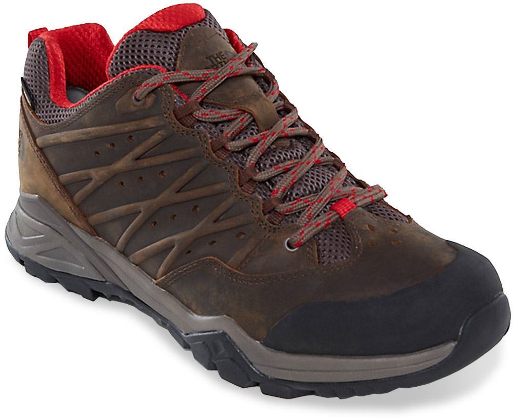 tnf hedgehog hike ii gtx