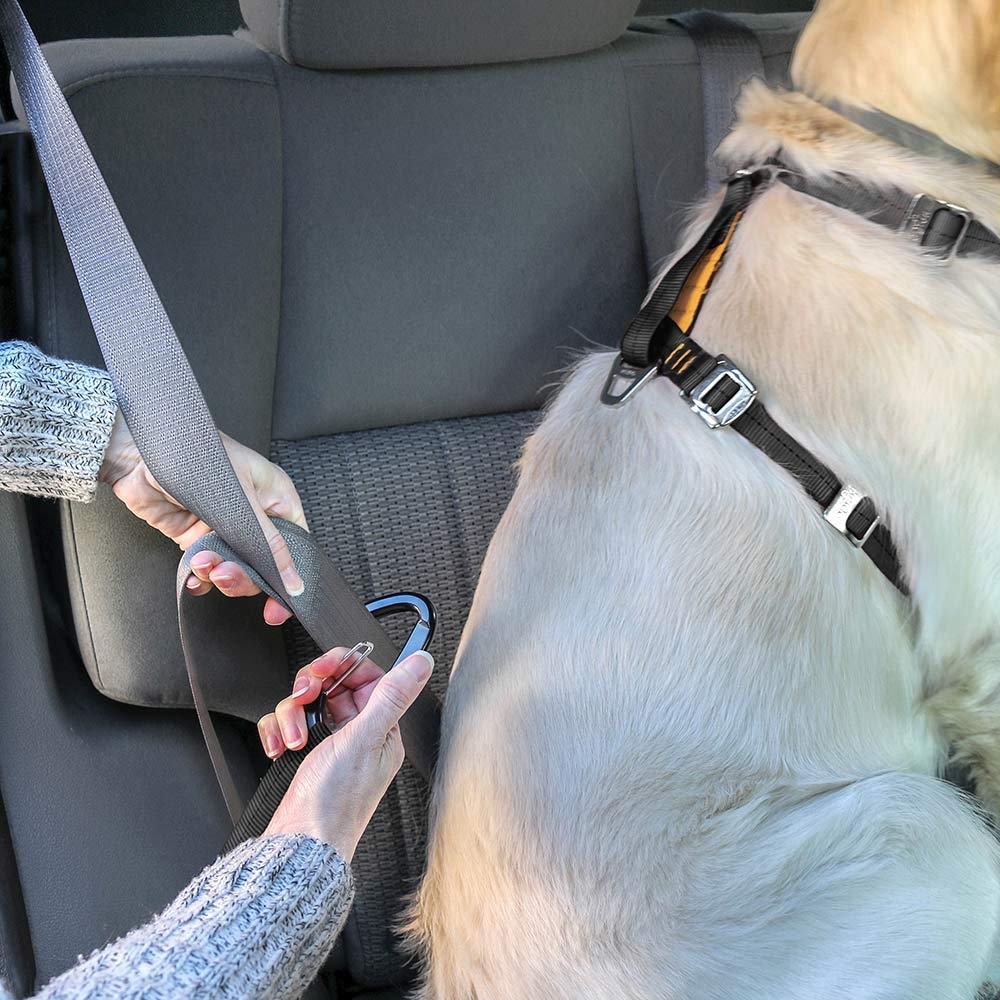 Kurgo Enhanced Strength TruFit Dog Car Harness Free Delivery Snowys Outdoors